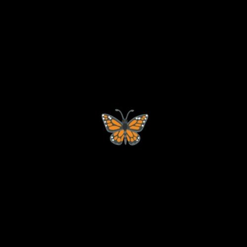 Butterfly_poster_image