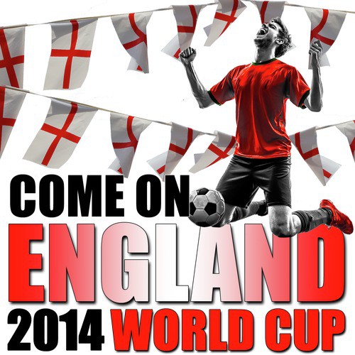 Come on England: 2014 World Cup