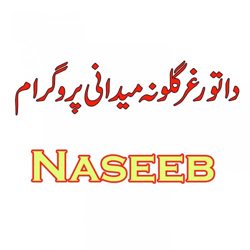 Naseeb