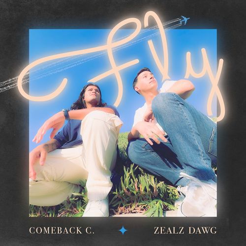 Fly cover art