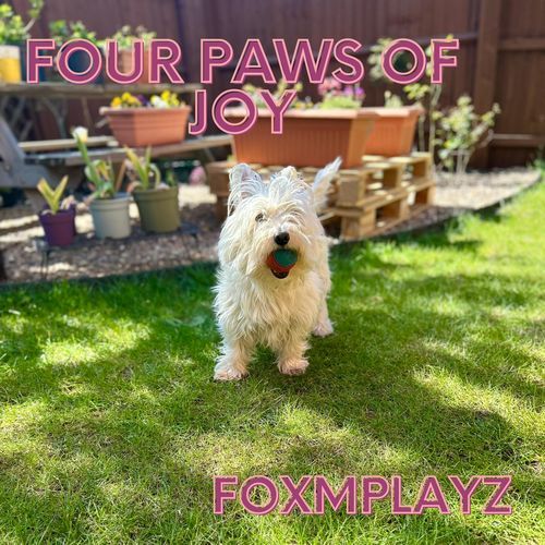 Four Paws of Joy