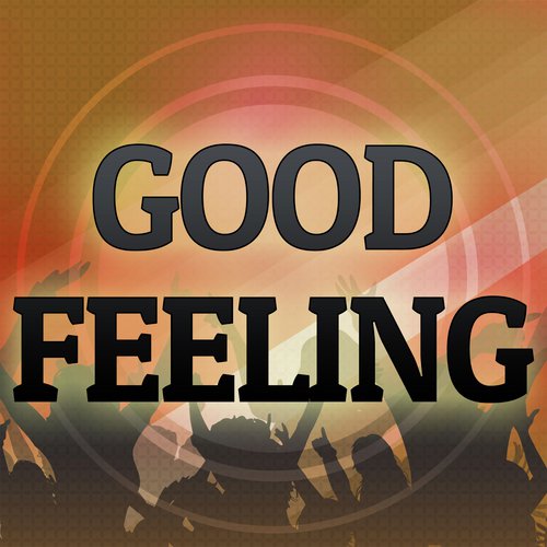 Good Feeling (A Tribute to Flo Rida)