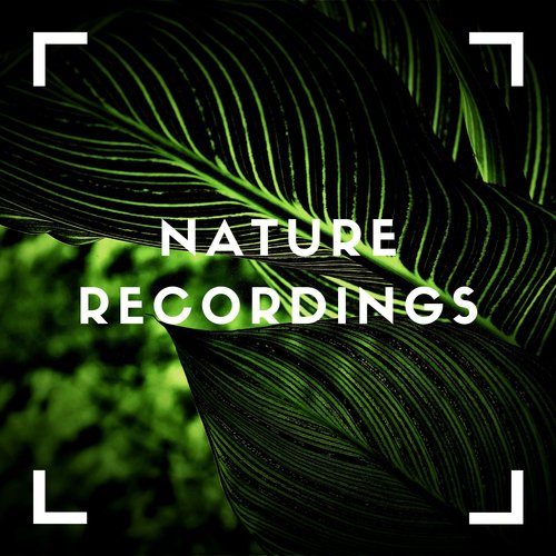 Natural cover art