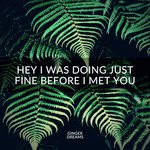 Hey I Was Doing Just Fine Before I Met You