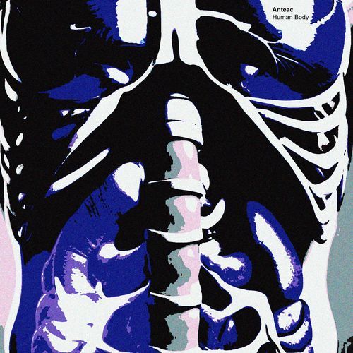 Human Body cover art