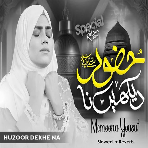 Huzoor Dekhe Na (Lofi-Mix)