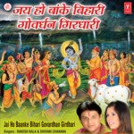 Jai Ho Shree Radhe Shree Baanke Bihari Lal Ji Ki Jai Ho  