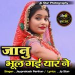Janu Bhul Gayi Yaar Ne