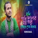 Jodi Pakhi Jungle Hai-RB