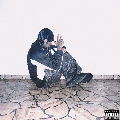 Nuevo Stylo cover art