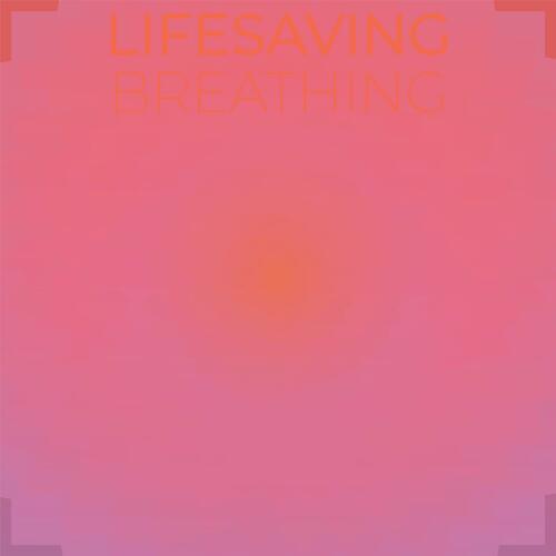 Sufficiently Chick cover art
