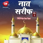 Naat Sharif Vol-16 (Urdu Islamic Naat)