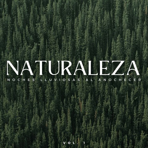 Ranas De Lluvia Negras cover art