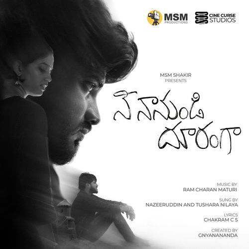 Nee Naanundi Dooranga