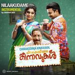 Nilaakudame (Instrumental)