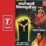 Tujhi Kripa Saari