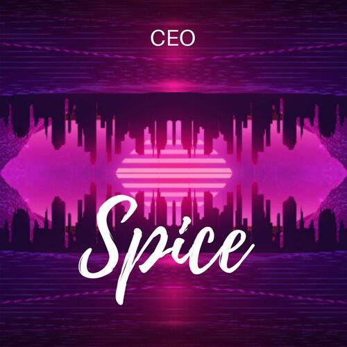 Spice cover art