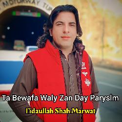 Ta Bewafa Saly Zan Day Paryslm-MTggaC5KZ0A