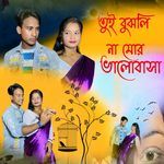 Tui Bujhli Na Mor Bhalobasha