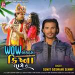 Wow Ekdam Krishana Lage Che