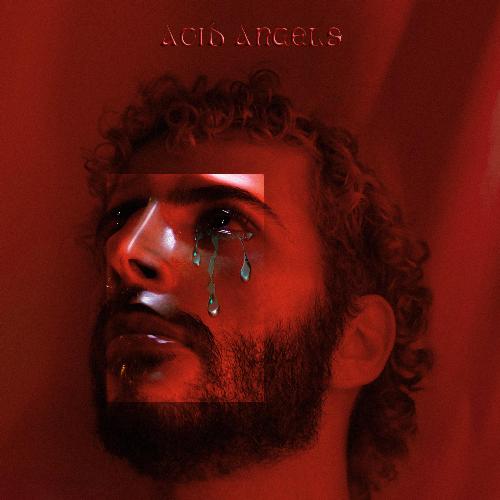 Acid Angels cover art