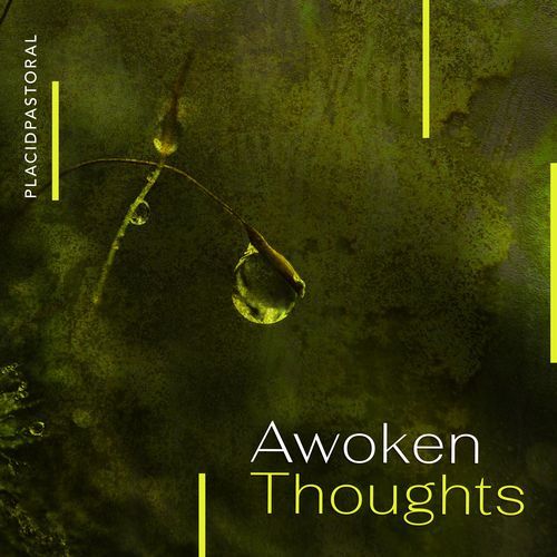Awoken Thoughts cover art