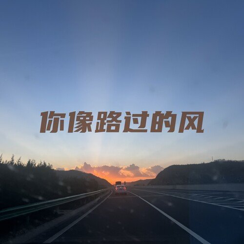 你像路过的风_poster_image