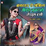 Bakasar Ro Sokin jivdo Gujrato Me Ghum Ryo