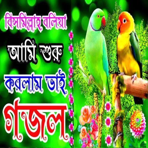 Bismillah Boliya Ami Suru Korlam Vai