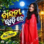 Chandani Rati Re artwork