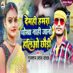 Demahi Hamra Dhokha Nahi Jano Haliyo Chhouri