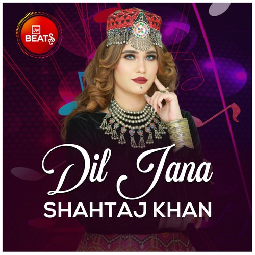 Dil Jana