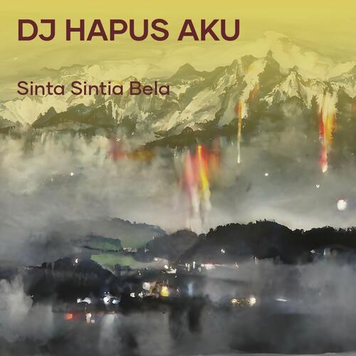 Dj Hapus Aku cover art
