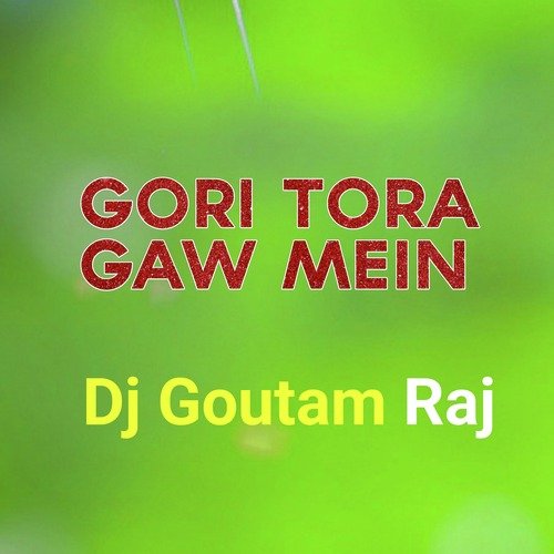 Gori Tora Gaw Mein (Remix)