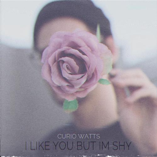 I Like You but I&#039;m Shy_poster_image