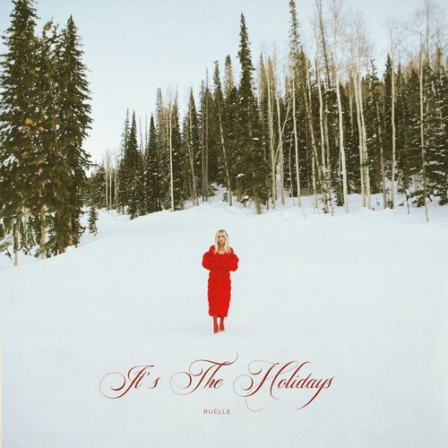 It's The Holidays_poster_image