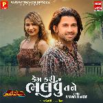 Jambu Nu Zaad (Kem Kari Bhulvu Tane)