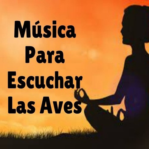 Relajación cover art