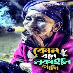 কোন বনে লুকাইলি পাখি-ASMERi1vDl8