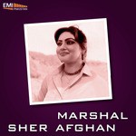 Teri Mein Teri Ho Ke (From Sher Afgan)
