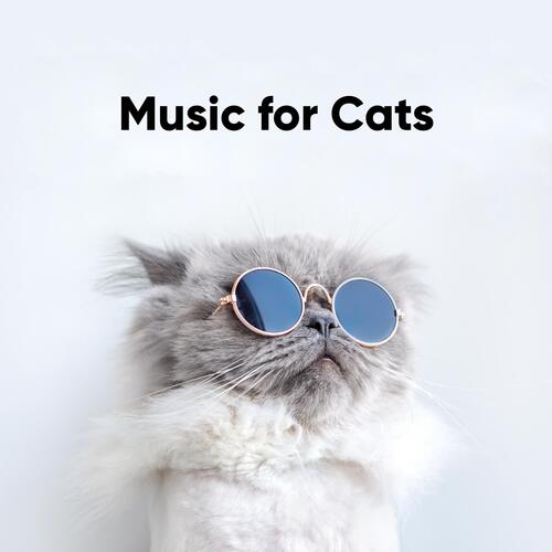 Memory: Therapy for Cats cover art