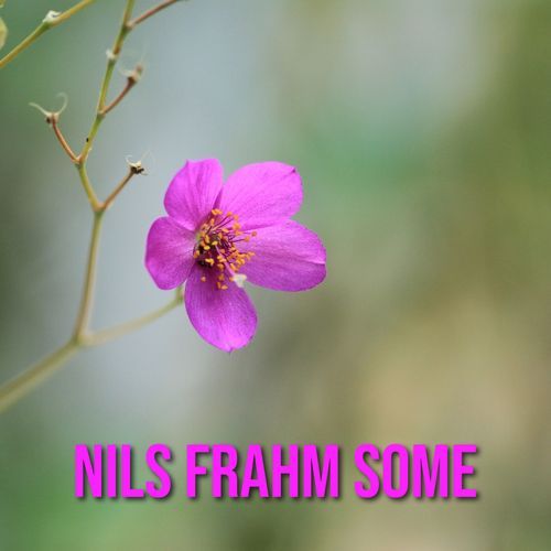 Nils Frahm Some cover art