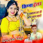 सिग्ना ट्रेलर प रहबाला कर ही कोन ध्यान म्हारो तों