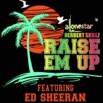 Raise 'em up (Team Lit Mix)