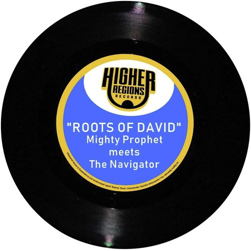 Roots of David_poster_image