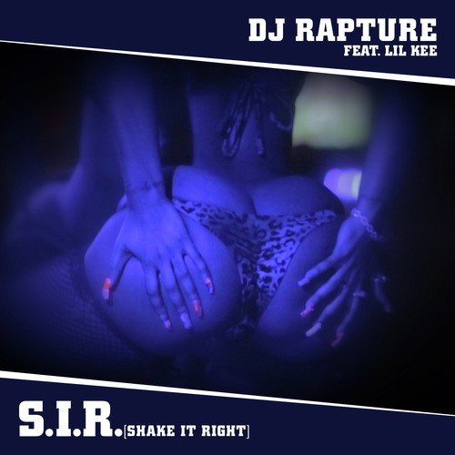 S.I.R. (Shake It Right) (DJ Edit Clean Version)