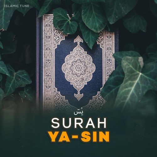 Surah Yasin cover art
