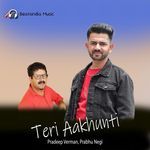 Teri Aakhunti artwork