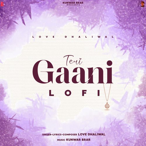 Teri Gaani Lofi