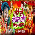 Tore Le Sajal Chhou Nik Pandal